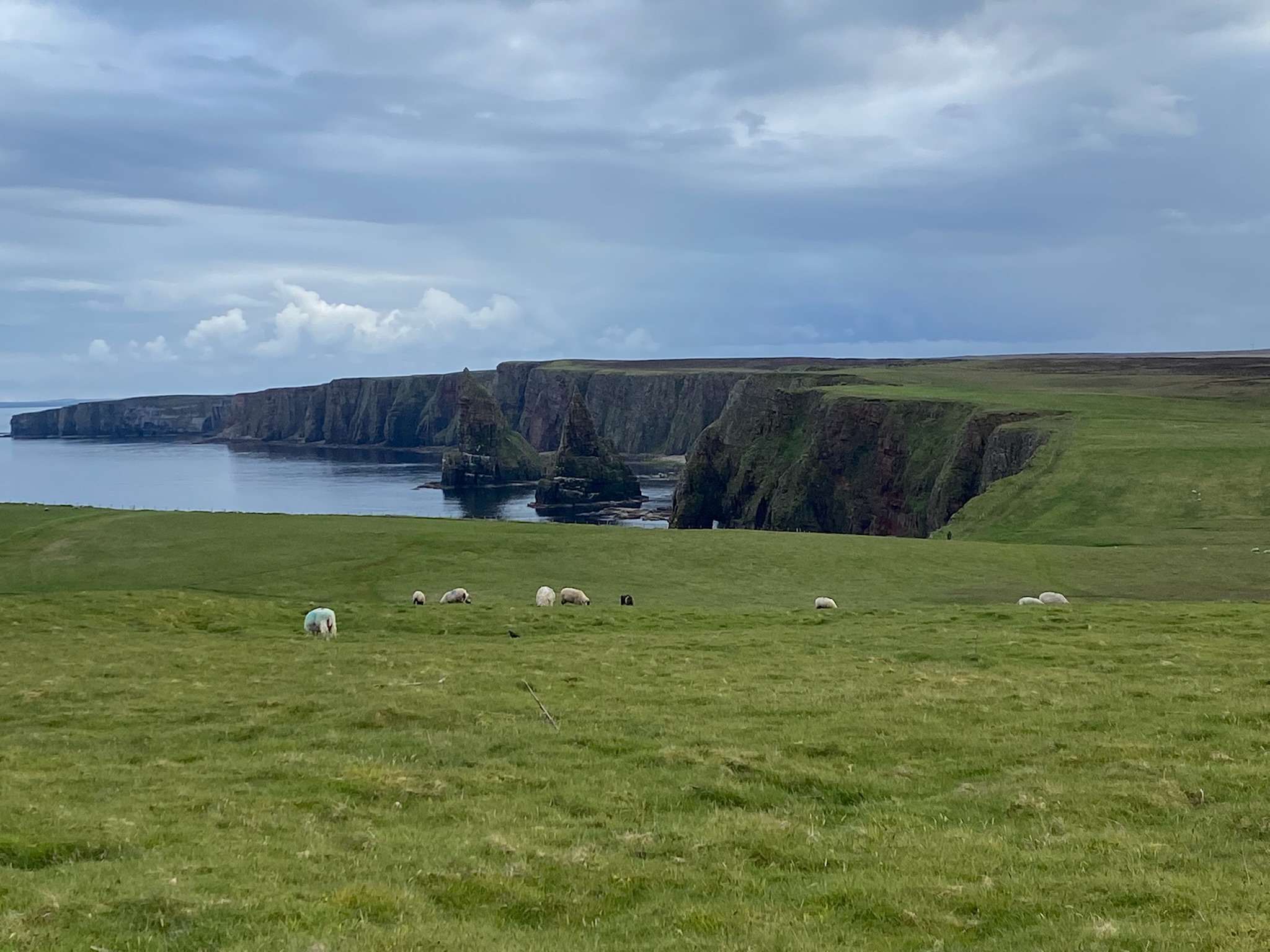 Duncansby Stacks Trail